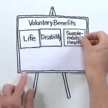 What are Voluntary Benefits?