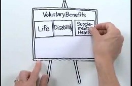 What are Voluntary Benefits?